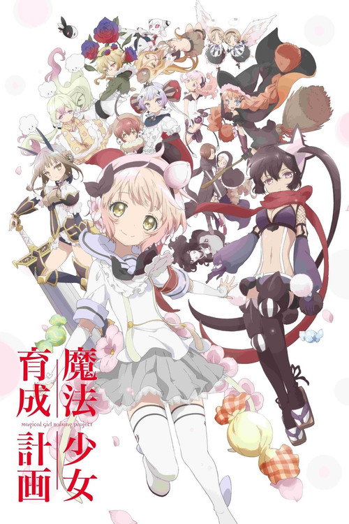魔法少女育成計画の配信先・あらすじ・感想レビュー【2026年5月最新】